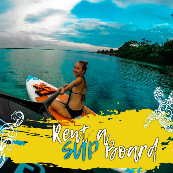 Rent a SUP Board - Allround